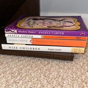 Used Angelia Carter books, Shadow Dancer, Love, Nights at the Circus, & Wise